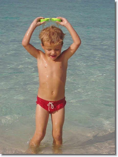 Click for the original image